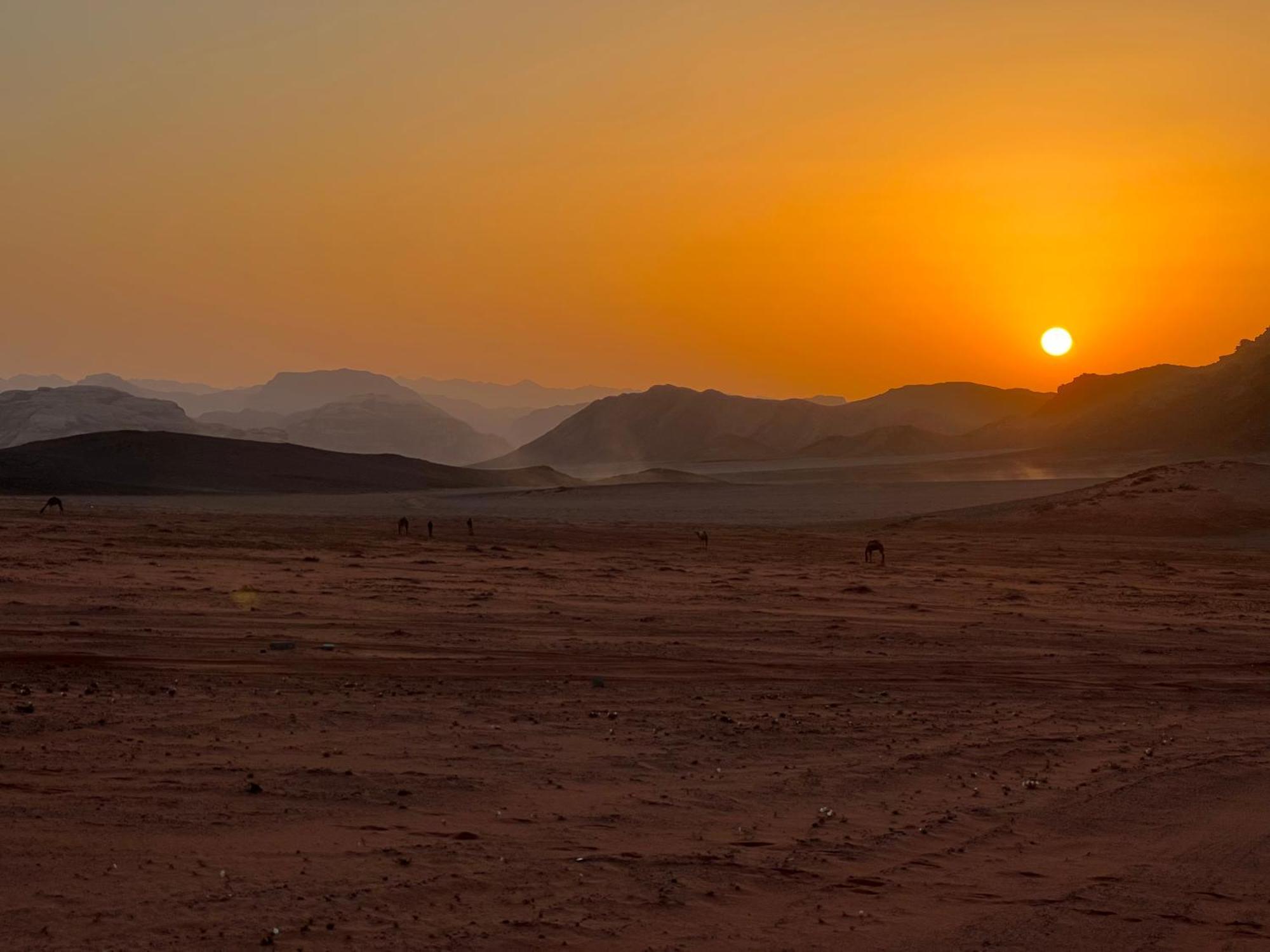 Wadi Rum Bedouin Experience Exterior foto