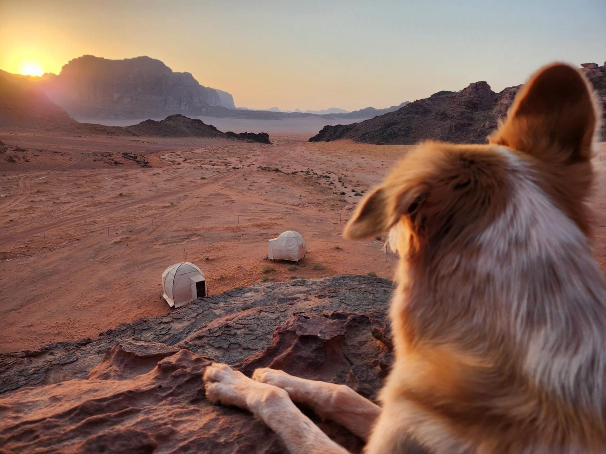 Wadi Rum Bedouin Experience Exterior foto