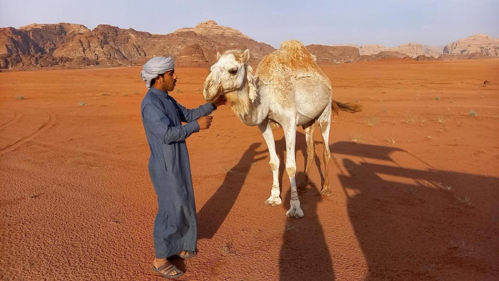 Wadi Rum Bedouin Experience Exterior foto